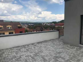 Ideal Apartment